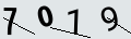 verifycode
